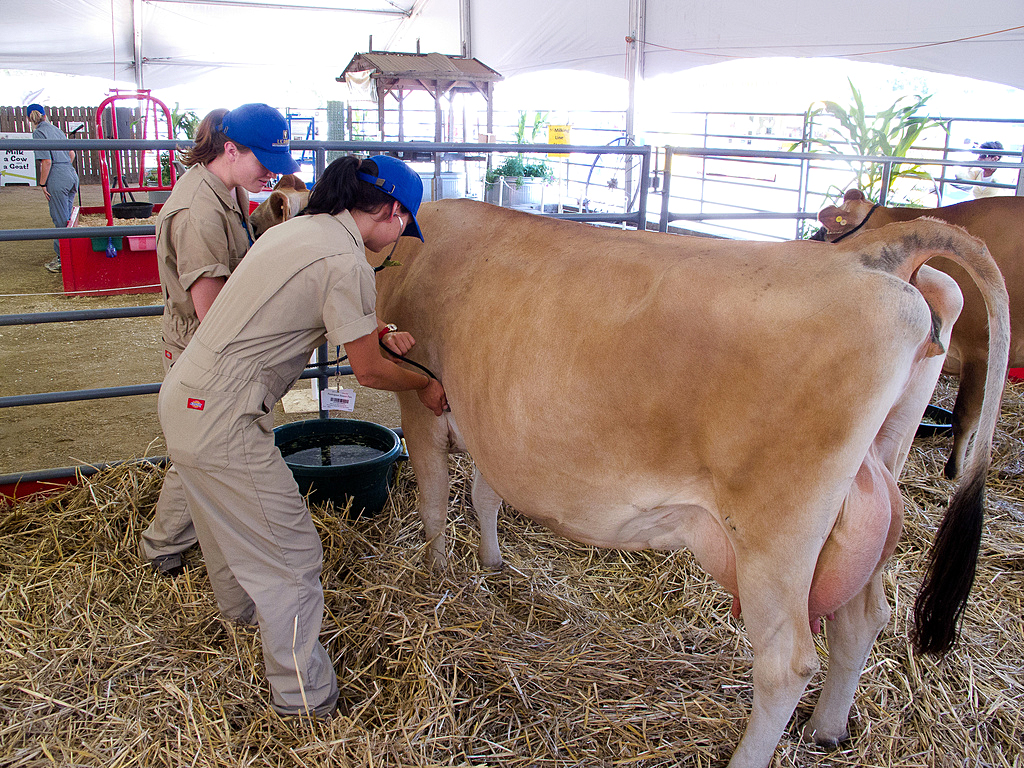 Dairy Production and Food Safety The