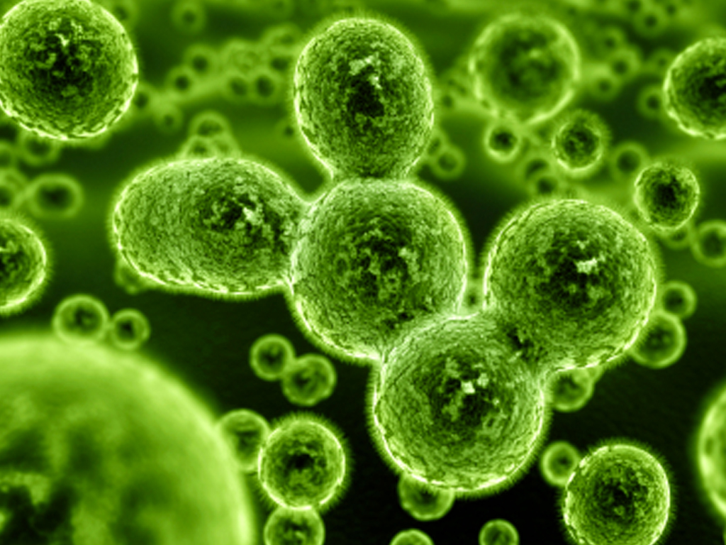 Microbial Waste Management