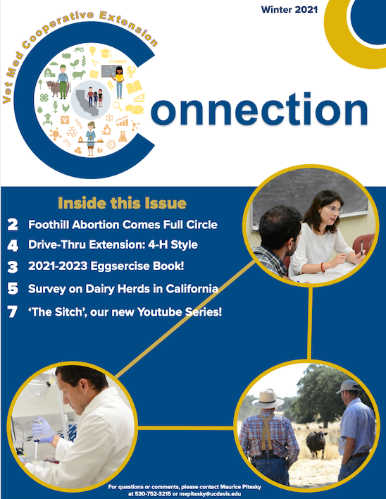 Cover Page of the Winter 2021 Newsletter